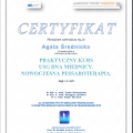 Powiększ obraz: certificate 6