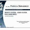 Powiększ obraz: certificate 6