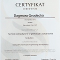 Powiększ obraz: certificate 4