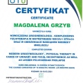 Powiększ obraz: certificate 2