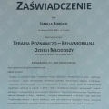 Powiększ obraz: certificate 1