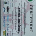 Powiększ obraz: certificate 31