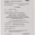 Powiększ obraz: certificate 16