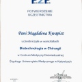 Powiększ obraz: certificate 4