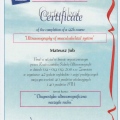 Powiększ obraz: certificate 26