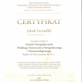 Powiększ obraz: certificate 2