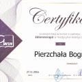 Powiększ obraz: certificate 20