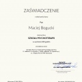 Powiększ obraz: certificate 1
