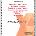 Powiększ obraz: certificate 8