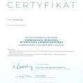 Powiększ obraz: certificate 40