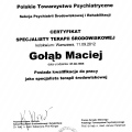 Powiększ obraz: certificate 4