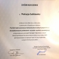 Powiększ obraz: certificate 11