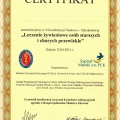 Powiększ obraz: certificate 2