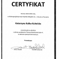 Powiększ obraz: certificate 1
