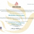 Powiększ obraz: certificate 6