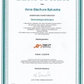 Powiększ obraz: certificate 2