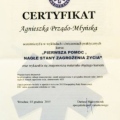 Powiększ obraz: certificate 31