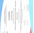 Powiększ obraz: certificate 13