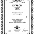 Powiększ obraz: certificate 26