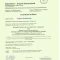 Powiększ obraz: certificate 20