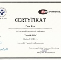 Powiększ obraz: certificate 11