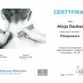Powiększ obraz: certificate 3