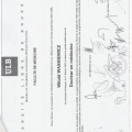 Powiększ obraz: certificate 3