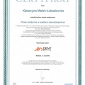 Powiększ obraz: certificate 4