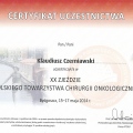 Powiększ obraz: certificate 12