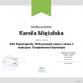 Powiększ obraz: certificate 7
