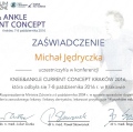 Powiększ obraz: certificate 17