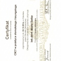 Powiększ obraz: certificate 4