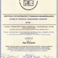 Powiększ obraz: certificate 1