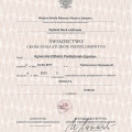 Powiększ obraz: certificate 2