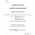 Powiększ obraz: certificate 1