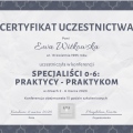 Powiększ obraz: certificate 3