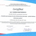 Powiększ obraz: certificate 10
