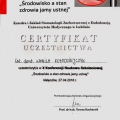 Powiększ obraz: certificate 8