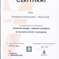 Powiększ obraz: certificate 1