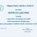 Powiększ obraz: certificate 6