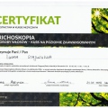Powiększ obraz: certificate 36