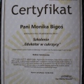 Powiększ obraz: certificate 27