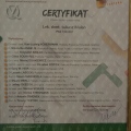 Powiększ obraz: certificate 15