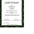 Powiększ obraz: certificate 7