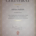 Powiększ obraz: certificate 11