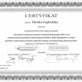 Powiększ obraz: certificate 5