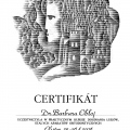 Powiększ obraz: certificate 4
