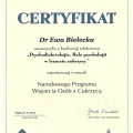 Powiększ obraz: certificate 17