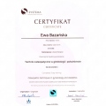 Powiększ obraz: certificate 21