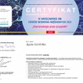Powiększ obraz: certificate 176